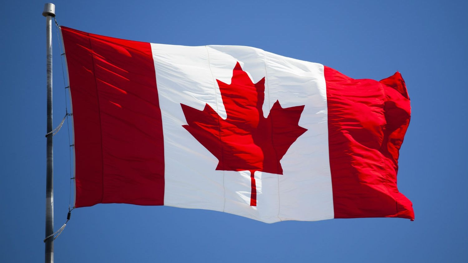 Canadian Centre for Cyber Security images/Country-Flags/New-NewZealand-Flag.jpg